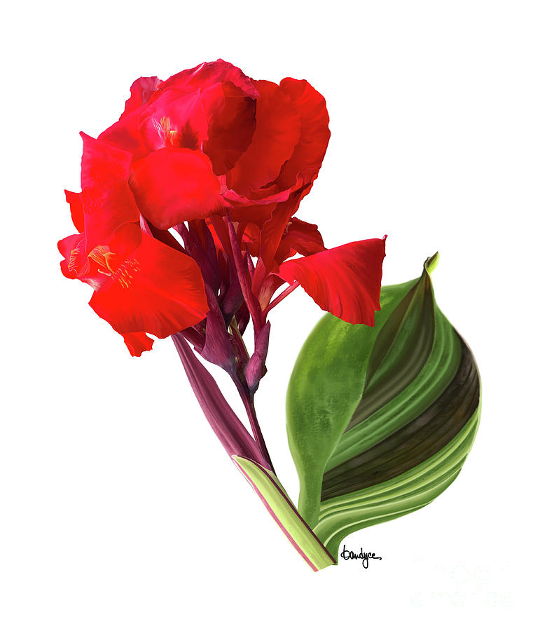 Tropical Bouquet-flower Three Digital Art