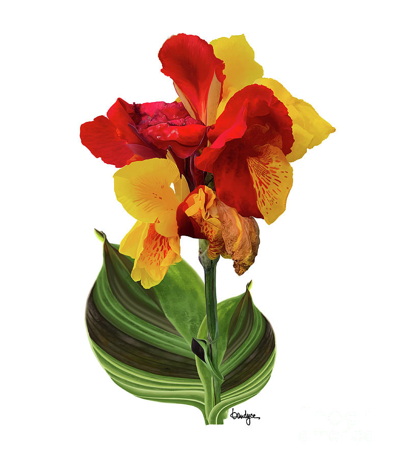 Tropical Bouquet-Flower Two Digital Art by Kandyce Waltensperger