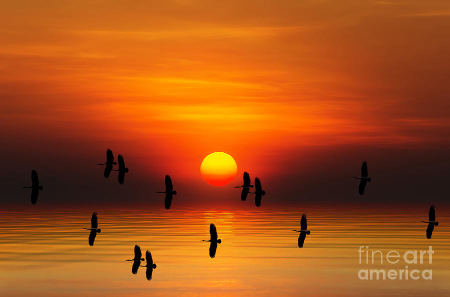 Sunrise Digital Art - Tropical Colorful Sunset, Songkhla by Siriwat Srinuroht Sunrise Digital Art - Tropical Colorful Sunset, Songkhla by Siriwat Srinuroht