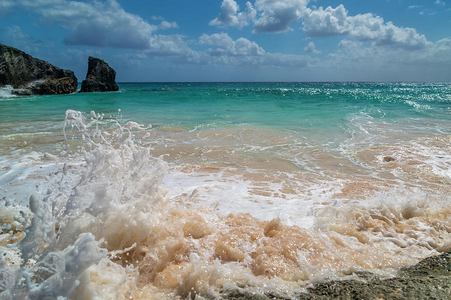 Tropical Fantastic View Photograph by Betsy Knapp - Fine Art America