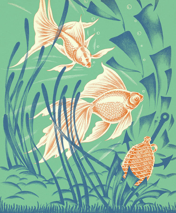 Fish Drawing - Tropical Fish by CSA Images