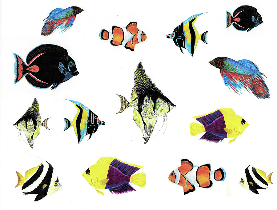Fish Painting - Tropical Fish by Michael Vigliotti
