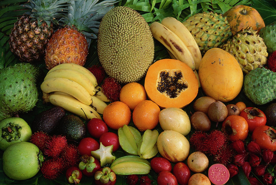 Tropical Fruit Sabah Borneo Photograph By Nhpa Pixels