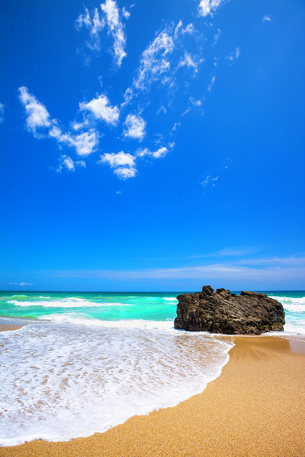 Tropical Golden Sand Beach In The Photograph by Apomares