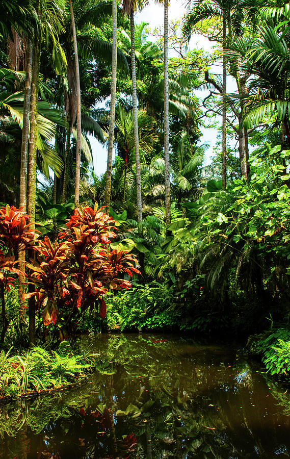 Tropical Lagoon Photograph by Robert Michaud - Fine Art America