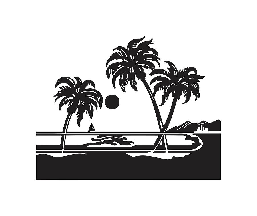 Tropical Palm Trees Landscape
