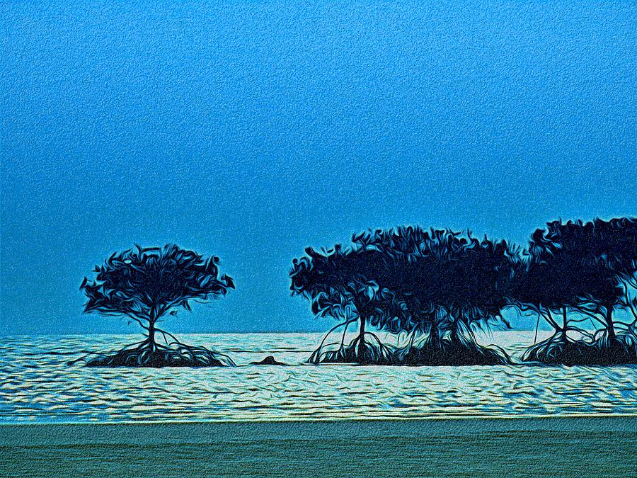 Tropical Mangrove Tree Blues Photograph by Joan Stratton