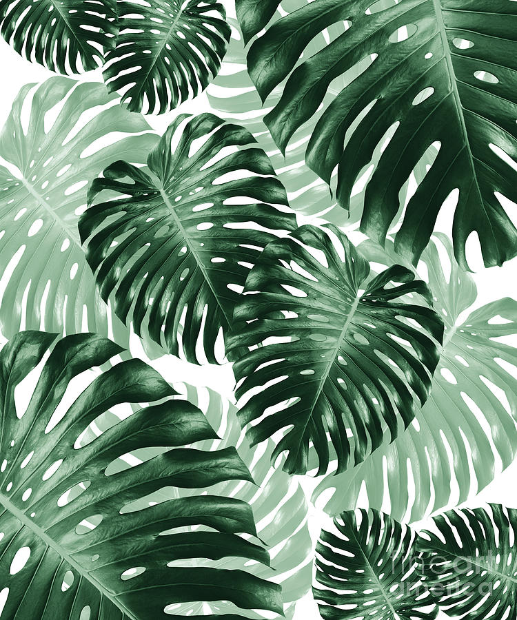 Nature Mixed Media - Tropical Monstera Jungle Leaves Pattern #1 #tropical #decor #art by Anitas and Bellas Art