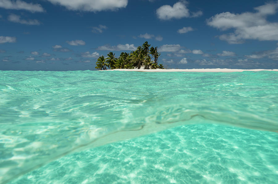 Tropical Palm-covered Island And Atoll Photograph by Pete Atkinson Tropical Palm-covered Island And Atoll Photograph by Pete Atkinson