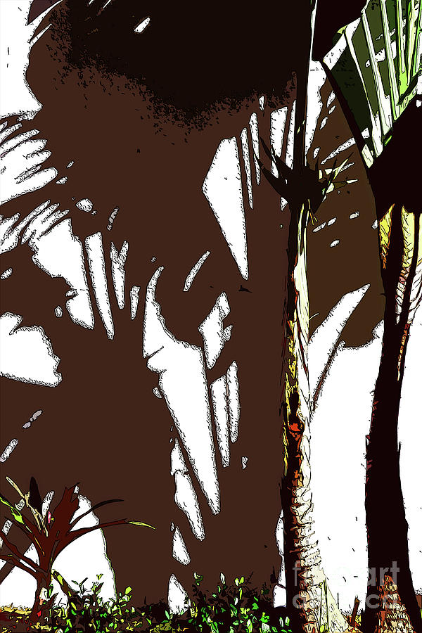 Tropical Palm Shadows Mixed Media