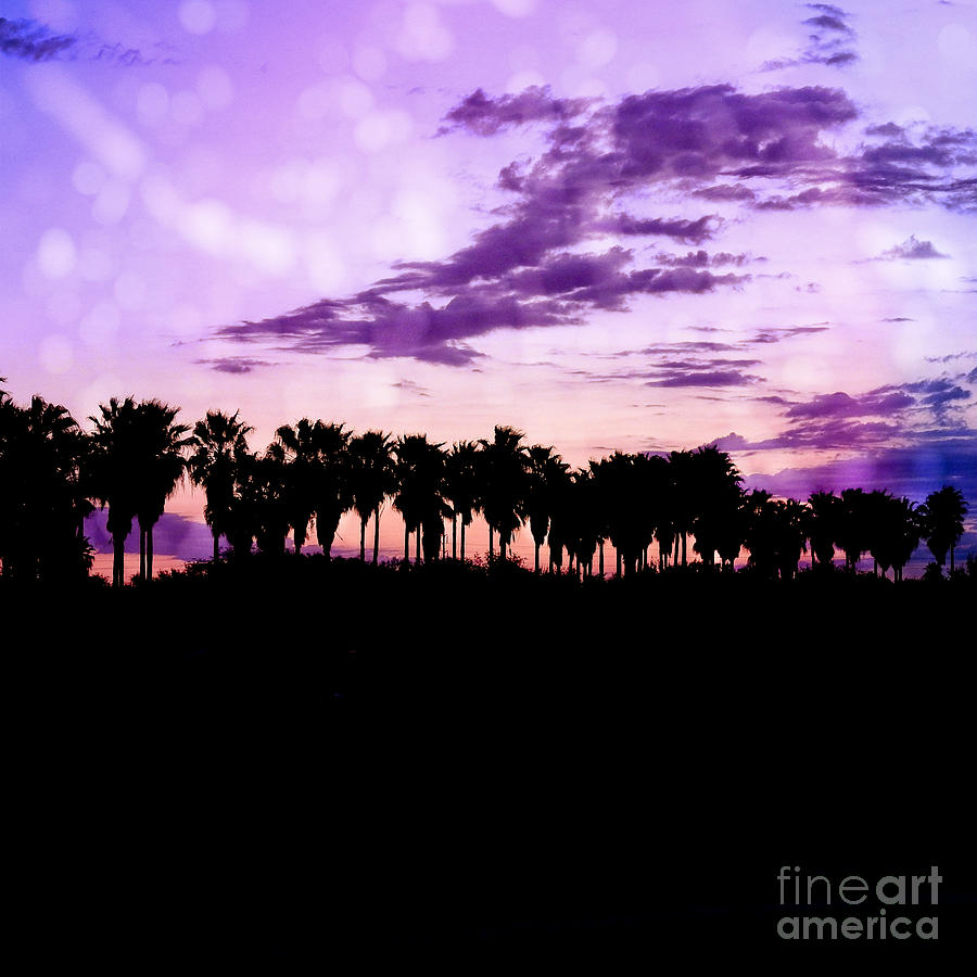 Tropical Palms Silhouette Landscape Photograph by Ella Kaye Dickey