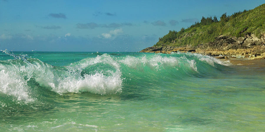 Bermuda Photograph - Tropical Paradise Place by Betsy Knapp Bermuda Photograph - Tropical Paradise Place by Betsy Knapp