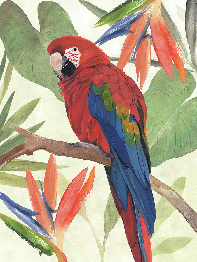 Tropical Parrot Composition II Painting by Annie Warren