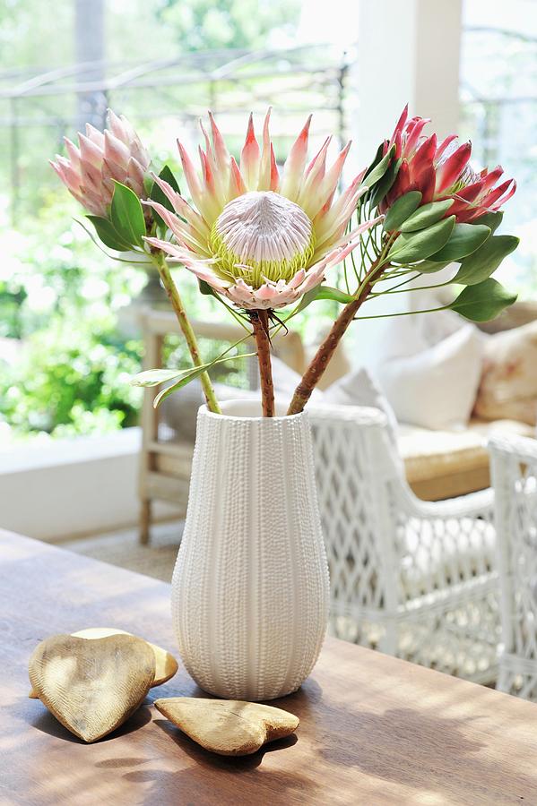 Tropical Plants In White China Vase With Fluted Surface And Heart-shaped Stones On Wooden Table Photograph by Great Stock!