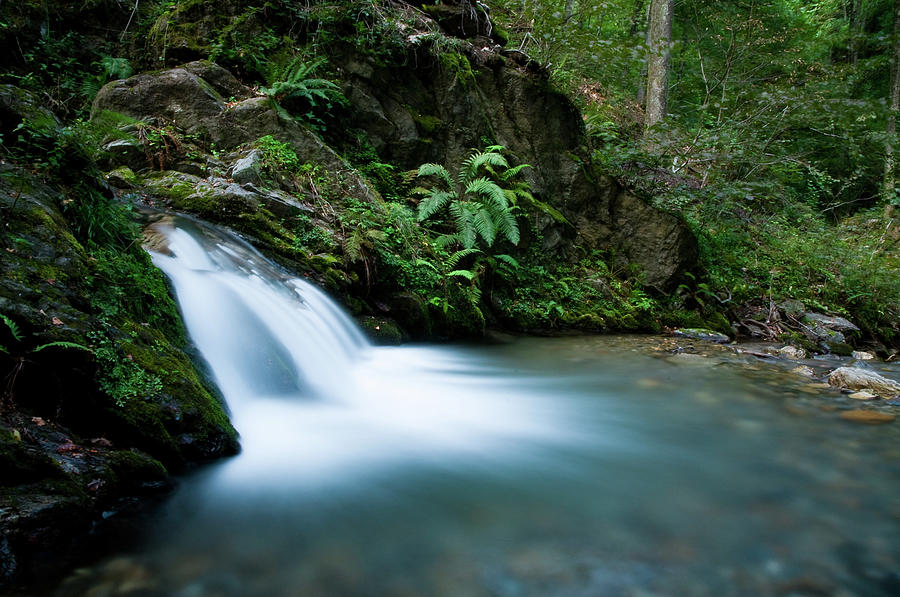 Tropical Rain Forest Waterfall Photograph by Assalve