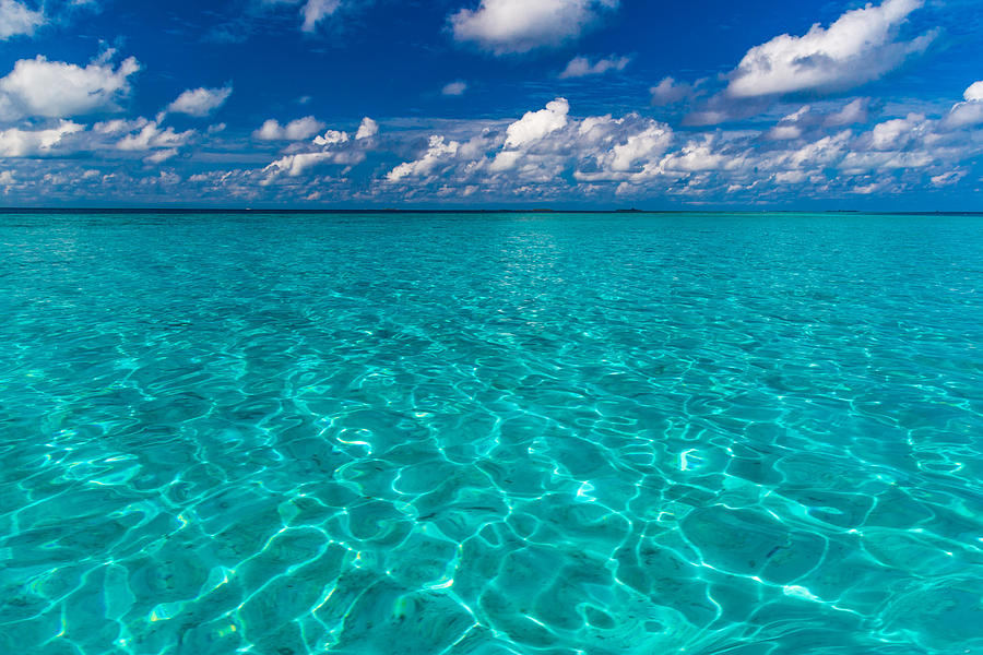 Summer Photograph - Tropical Sea, Green And Blue Lagoon by Levente Bodo