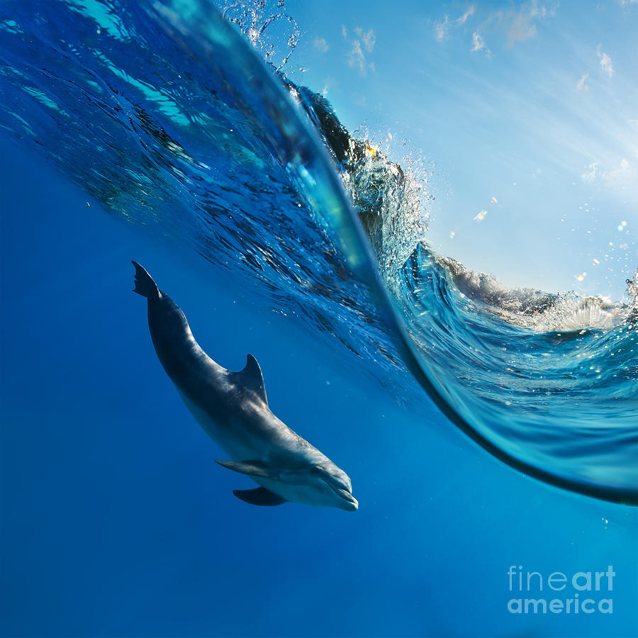 Blue Water Photograph - Tropical Seascape With Water Waved by Willyam Bradberry Blue Water Photograph - Tropical Seascape With Water Waved by Willyam Bradberry