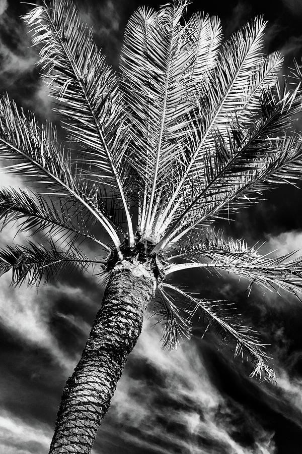 Paradise Photograph - Tropical State of Mind #2 by Stephen Stookey