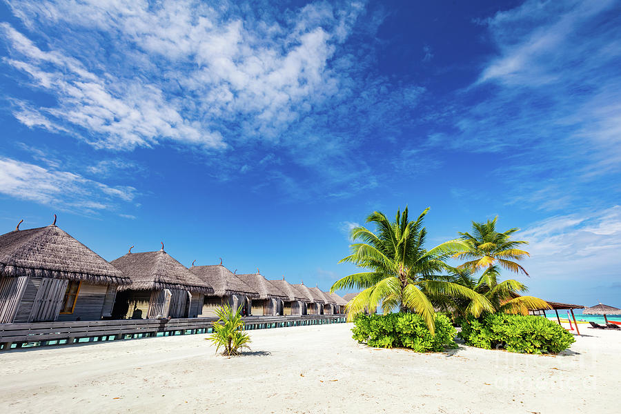 Tropical straw cabins on the tropical beach. Photograph by Michal Bednarek