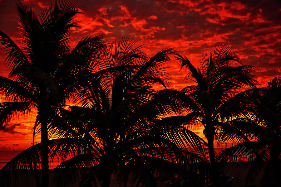 Tropical Sunrise Photograph by Meta Gatschenberger