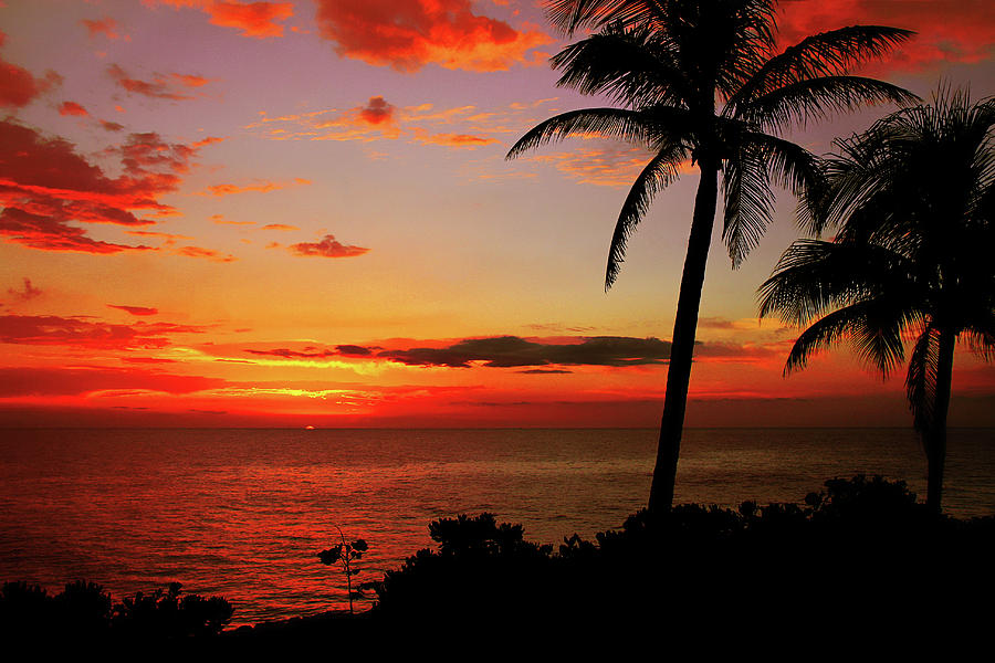 Tropical Sunset Photograph by Kamil Swiatek