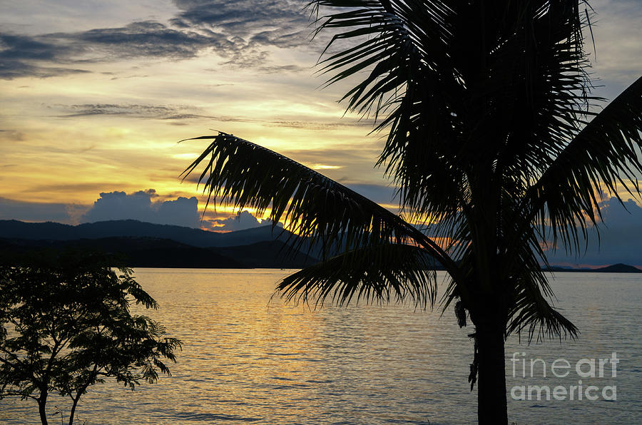Tropical Sunset Photograph by Michelle Meenawong
