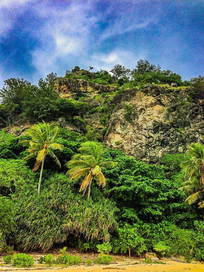 Tropical Veg Photograph by Jeremy Guerin