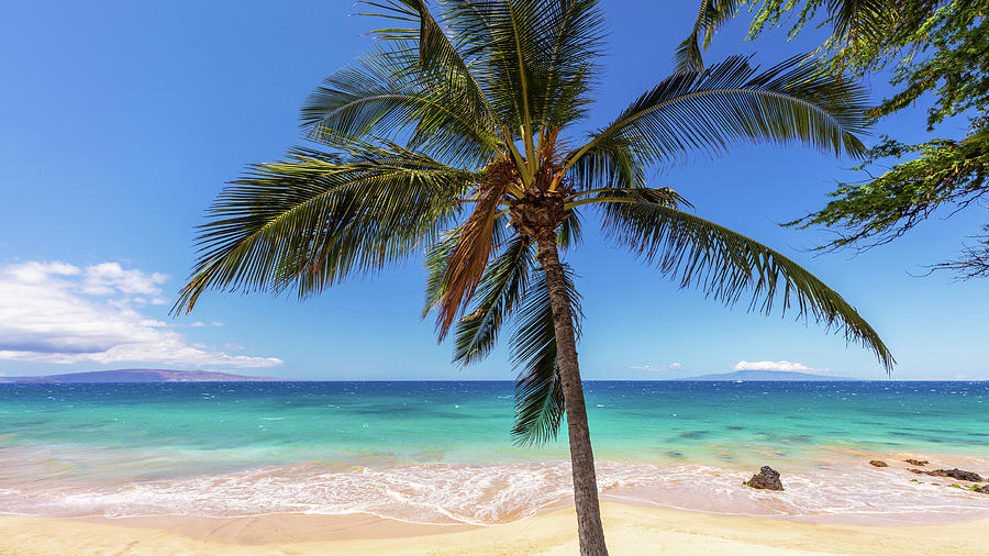 Tropical view of Kamaole Beach Maui Hawaii Photograph by Pierre Leclerc Photography
