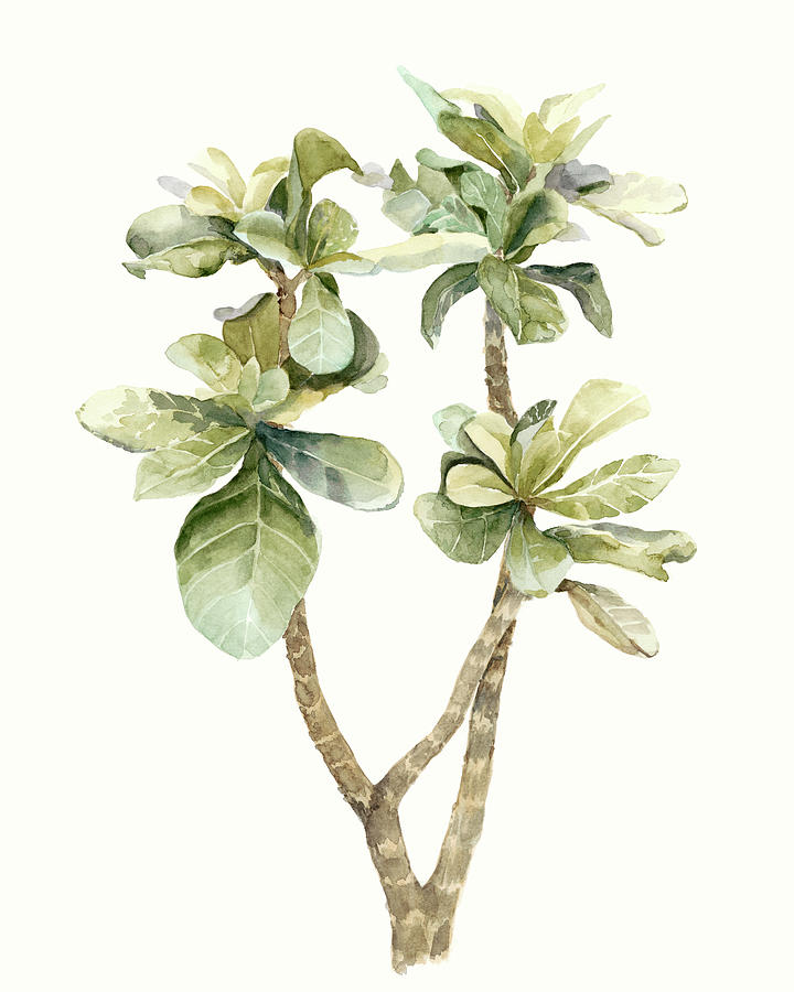 Tropical Watercolor Leaves IIi Painting by Megan Meagher - Fine Art America