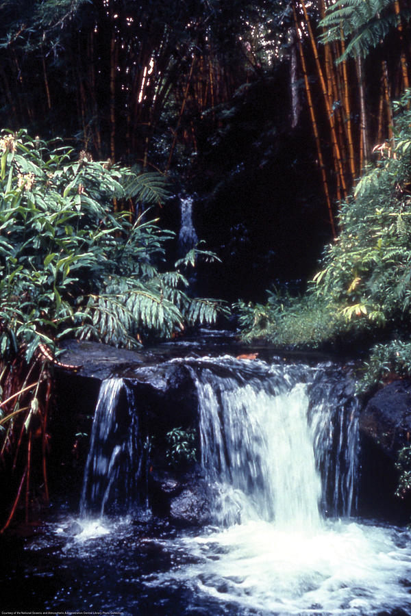 Tropical Waterfall Painting by James P. McVey