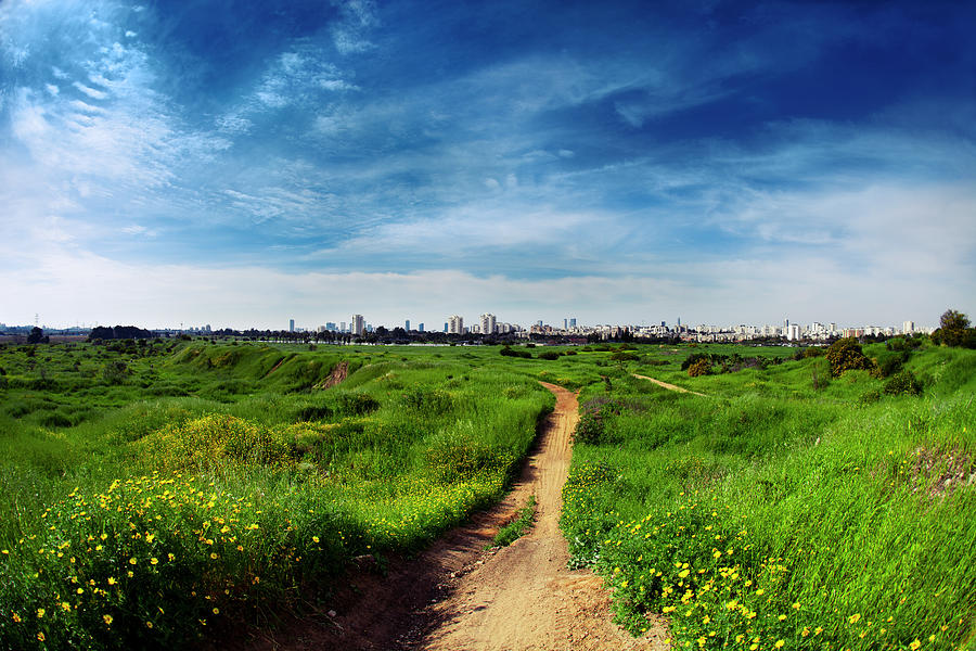 Trough Fields To The City Photograph by Pleasureofart