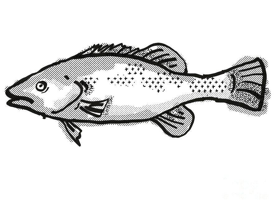 Trout Cod Australian Fish Cartoon Retro Drawing Digital Art by Aloysius  Patrimonio - Fine Art America