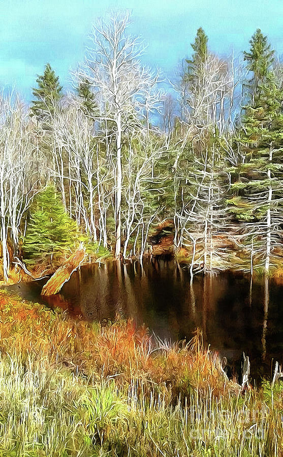 Trout Pond in Autumn  Photograph by Elaine Manley