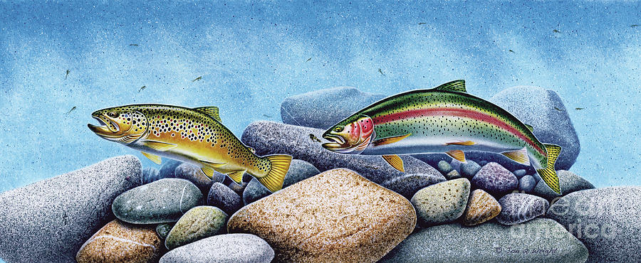 Trout Rockpile Painting by Jon Wright - Pixels