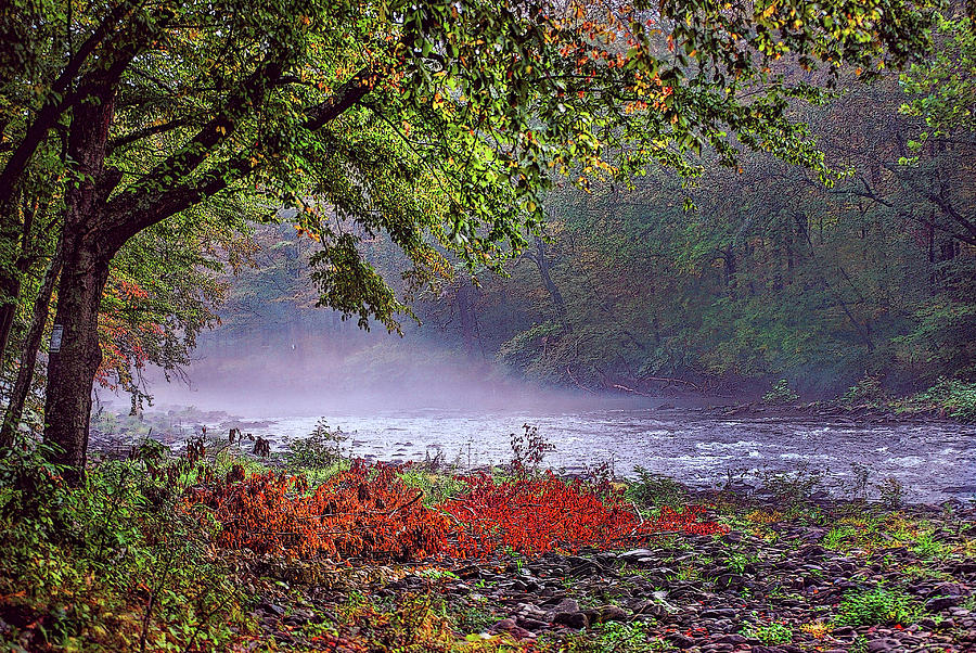 Trout Stream in Autumn Photograph by Cordia Murphy
