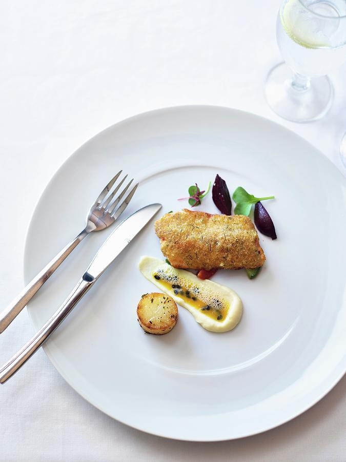 Trout With A Herb Crust, Parsnip Pure And Passion Fruit Sauce Photograph by Great Stock!