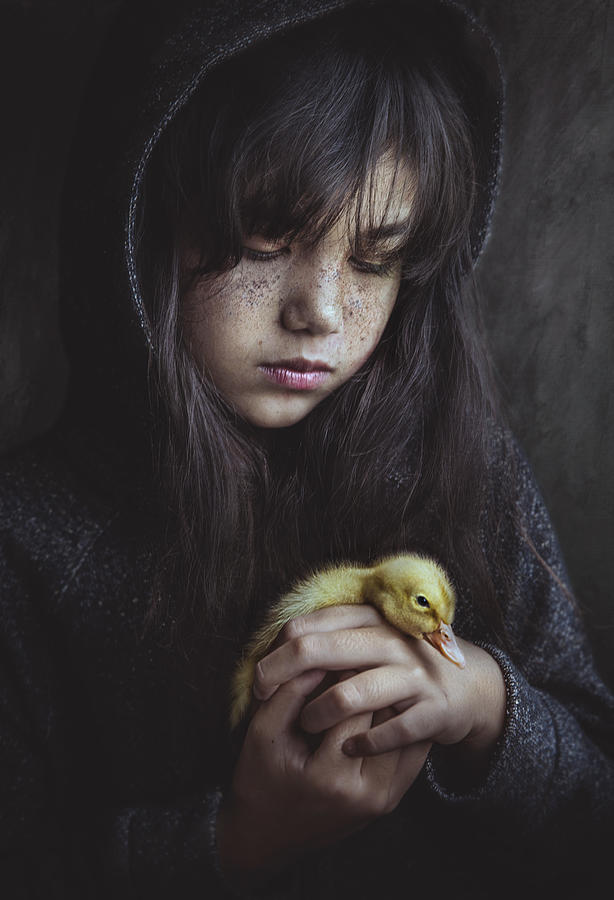 Duck Photograph - True Friend Stays by Sebastian Kisworo