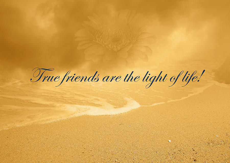 True Friends Are The Light Of Life Photograph by Johanna Hurmerinta