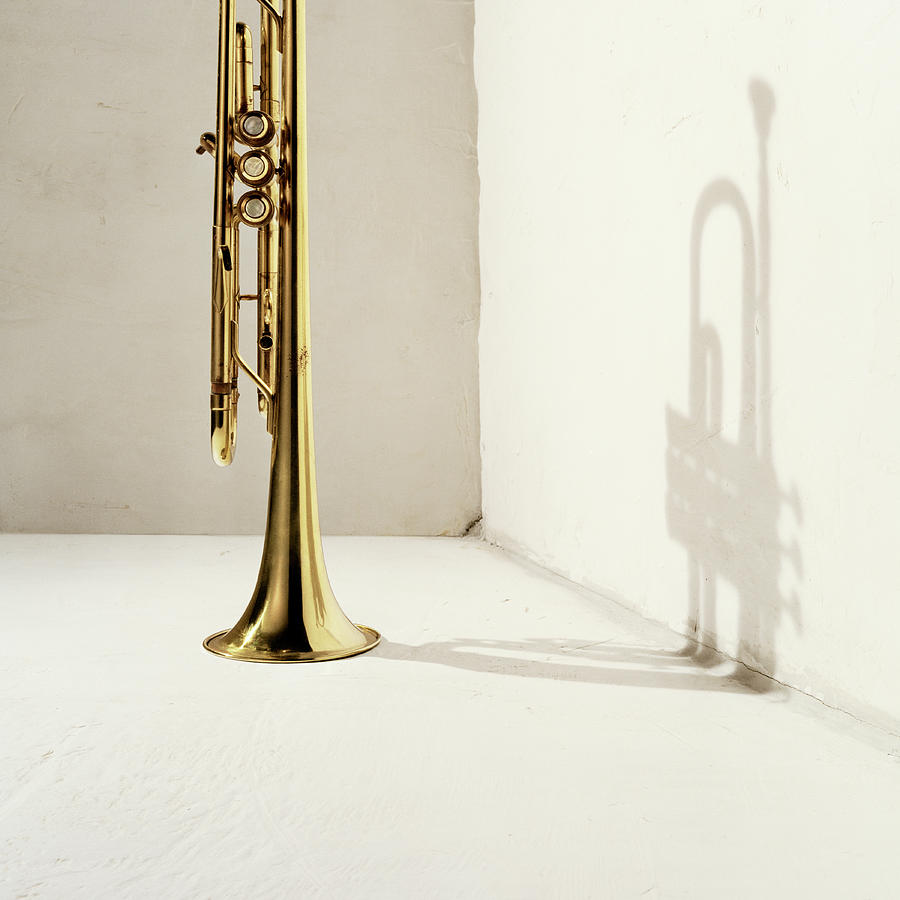 Trumpet Casting Shadow Photograph by Jonathan Knowles