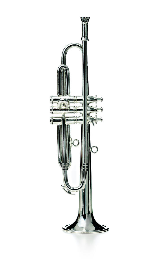 Trumpet Photograph by Thepalmer Trumpet Photograph by Thepalmer