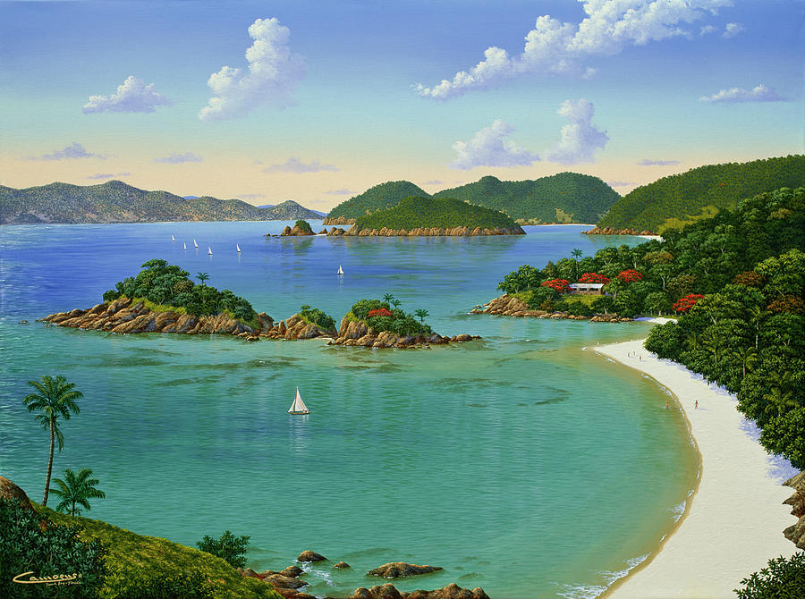 Virgin Islands Painting - Trunk Bay - Virgin Islands by Eduardo Camoes