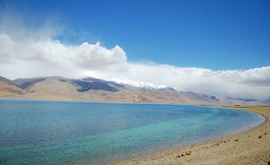 Tsomoriri Lake, Ladakh Photograph by Selvin