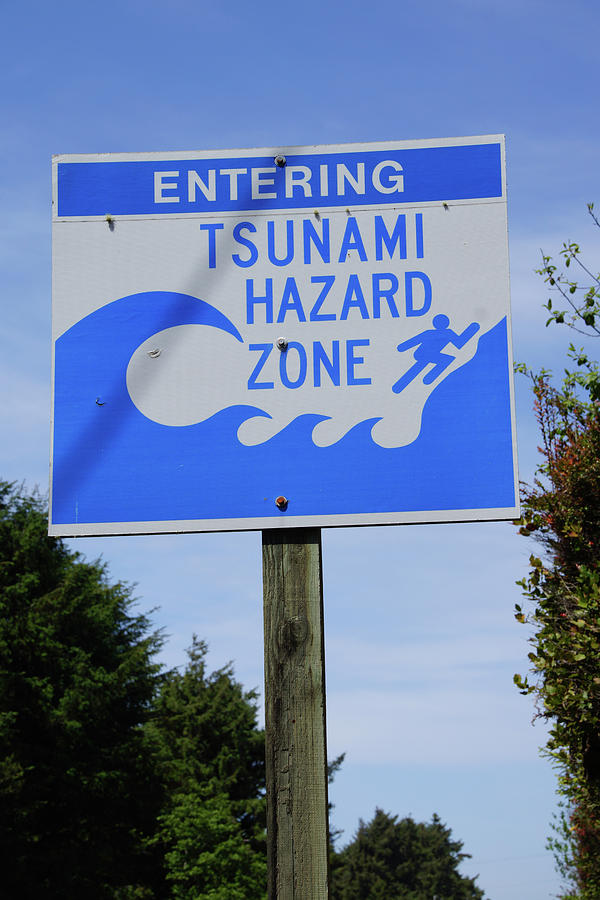 Tsunami emergency sign Photograph by Steve Estvanik