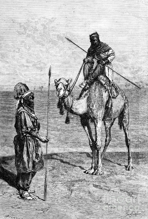 Tuaregs On A Journey, North Africa Drawing by Print Collector