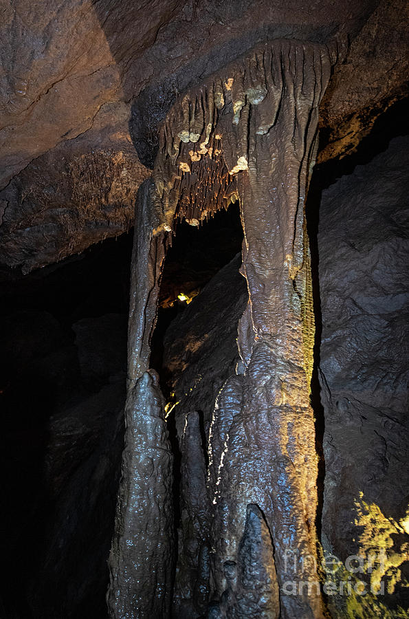 Tuckaleechee Caverns Stalagmites Photograph by David Oppenheimer