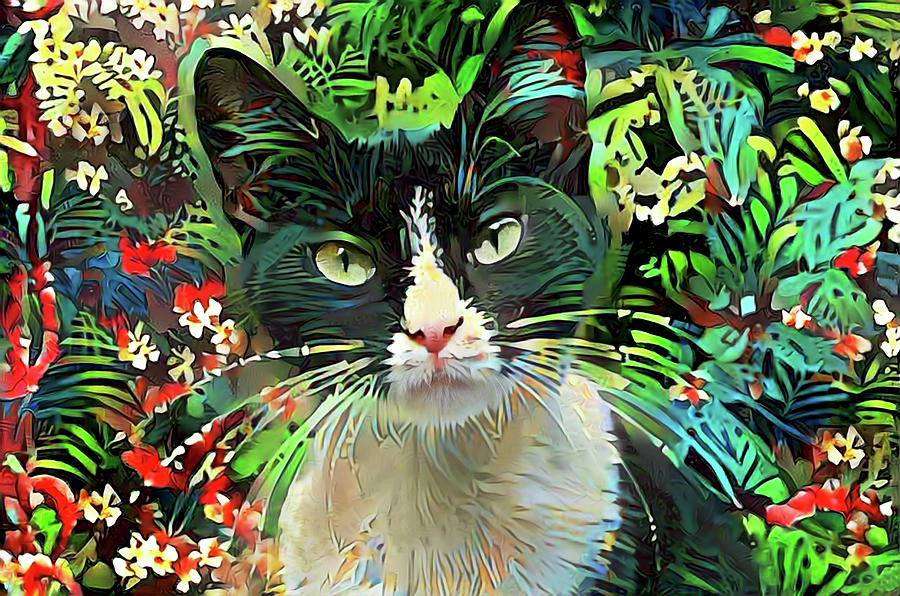 Cat Digital Art - Tucker the Tuxedo Cat by Peggy Collins
