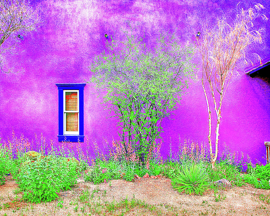 Tucson Presidio Purple, Arizona Photograph by Don Schimmel