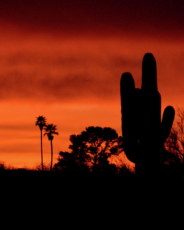 Tucsons natural skyline Photograph by Chance Kafka