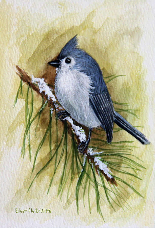 Christmas Painting - Tuffed Titmouse by Eileen Herb-witte