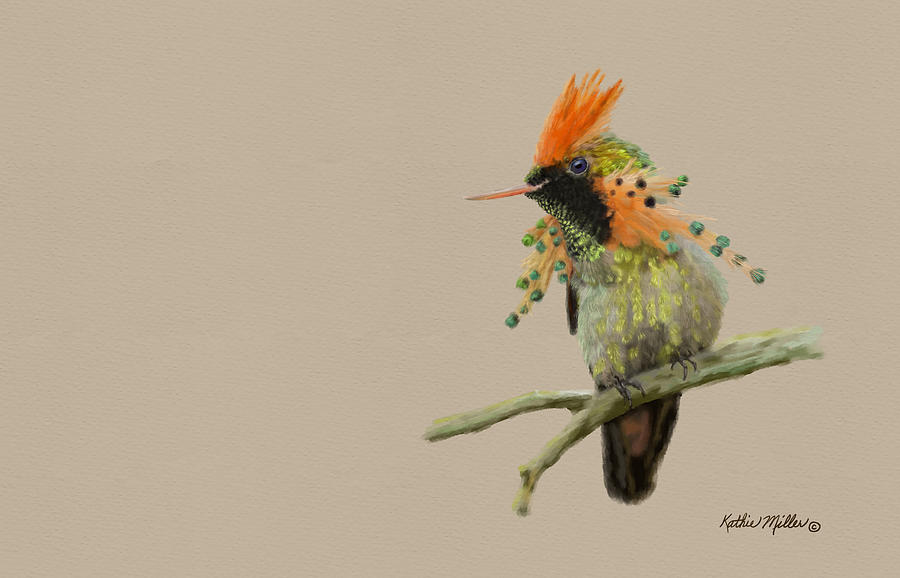 Tufted Coquette Hummingbird Digital Art by Kathie Miller